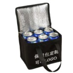 Cooler Bag